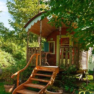 Lodge